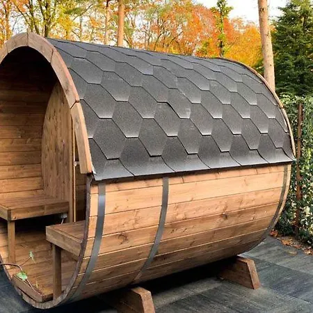Modern, Luxurious With Outdoor Sauna And Spa, Close To De Veluwe Villa Lunteren