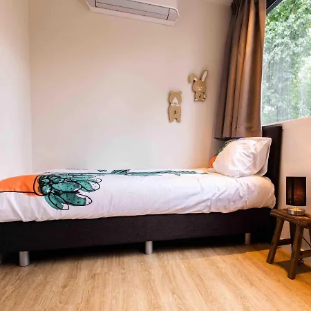 Villa Modern, Luxurious With Outdoor Sauna And Spa, Close To De Veluwe Lunteren